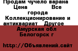 Продам чучело варана › Цена ­ 15 000 - Все города Коллекционирование и антиквариат » Другое   . Амурская обл.,Белогорск г.